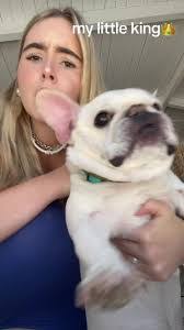 Jillian Talbot's Instagram, Twitter & Facebook