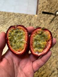 Image result for Passiflora edulis