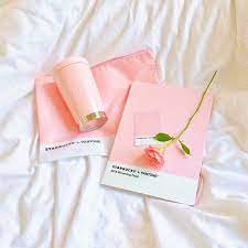 Pastel pink aesthetic app icons camera / pastel pink and white app icons blog pixie. Pin En Aesthetics Fashion