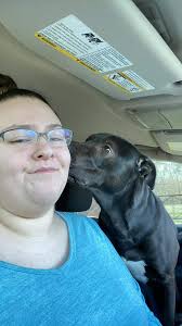 Lost black dog with white spot in Canton