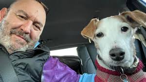 Twitch aka Ned enjoying the sun today. Such a good boy