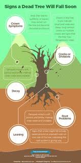 We are a locally owned and operated company and we have been providing the best services to the residents of warren mi. 22 Posters Ideas Warren Buffett Tree Quotes Tree Service