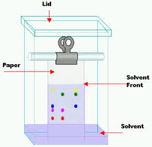 Paper Chromatography Wikipedia