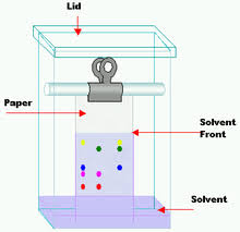 paper chromatography wikipedia