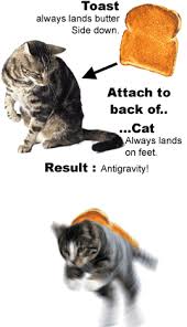 By joel marino february 1, 2019. Murphy S Law Application For Antigravitatory Cats Uncyclopedia The Content Free Encyclopedia