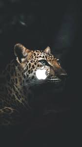 27 Iphone Black Jaguar Wallpaper 4k Pics Picture Idokeren Tons of awesome black jaguar wallpapers to download for free. iphone black jaguar wallpaper 4k pics