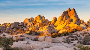 Homestead national historical park, a unit of the national park system known as the homestead national monument of america prior to 2021, commemorates passage of the homestead act of 1862, which allowed any qualified person to claim up to 160 acres. Joshua Tree Weather Camping Map Where To Stay And Things To Do