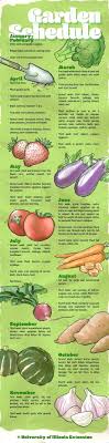 Sow in a sheltered spot outdoors, or. When To Plan A Vegetable Garden Plants Growing Vegetables Garden Supplies