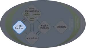 Check out these lifestyle articles for great tips and tricks. 4 Risk And Protective Factors For Social Isolation And Loneliness Social Isolation And Loneliness In Older Adults Opportunities For The Health Care System The National Academies Press