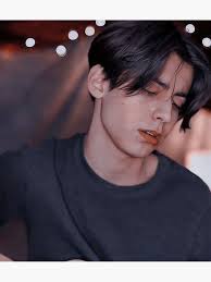 Pegatinas: Aidan Divertido