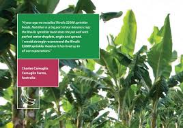 Maybe you would like to learn more about one of these? Maximize Your Banana Crop S Growth Potential Rivulis