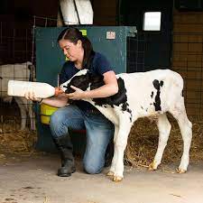 Check spelling or type a new query. Animal Science Penn State College Of Agricultural Sciences