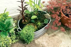 Mini Garten Gestalten Tipps Und Trick Fur Einen Garten Auf Den Balkon Zinkwanne Bepflanzen Pflanzen Miniteich