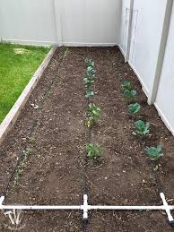 How to setup a drip system for vegetable garden. How To Install A Drip Watering System For The Garden Houseful Of Handmade