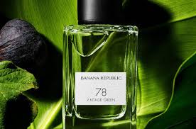 Image result for Maesa