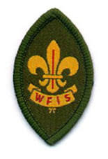 wfis