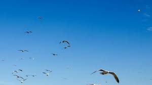 Photo Les prvisions mtorologiques du mercredi 17 septembre 2025  ...