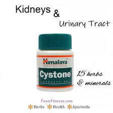 Cystone Himalaya For Urinary Tract Kidneys Stone Calculi Prevention Urinary Tract Coconut Health Benefits Health
