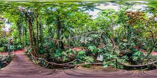 Muss man besuchen wenn man marburg auf dem schirm hat! Botanischer Garten Marburg Gewachshauser Botanischer Garten