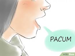 Most of our prefixes and some of the roots of common english words derive from latin. How To Say Peace In Latin 12 Steps With Pictures Wikihow