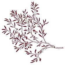 Sticker Branche D Olivier Olive 60x60 Cm Bordeaux Arb013 Achat Vente Stickers Soldes Sur Cdiscount Des Le 20 Janvier Cdiscount