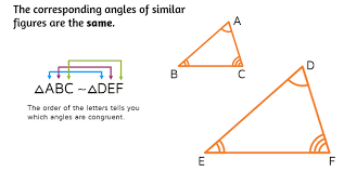 Not differing in shape but only in size or position similar triangles similar polygons. How To Find Scale Factors Of Similar Figures Kate S Math Lessons