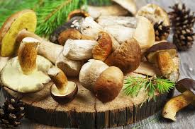 La température est un excellent indicateur permettant de savoir si on est enceinte. Comment Bien Cuisiner Les Cepes Marie Claire