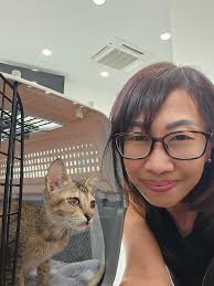 Adopt a 2.5-month-old female kitten named Niu Niu