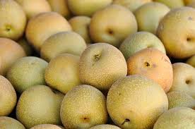 Cooler summers will delay the ripening process but a warmer one will hasten it. Real Food Encyclopedia Asian Pears Foodprint