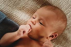 Newborns & Babies — Evie Winter