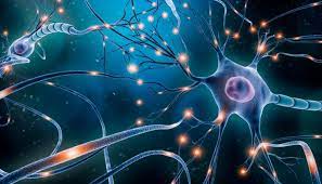 Aduhelm is the first federally approved alzheimer's treatment in roughly 18 years, but there is no conclusive evidence the drug slows the decline of memory and brain function. Jvzviapjdlhxtm