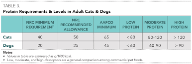 Nutritional Management Of Chronic Kidney Disease In Cats