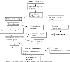 Image result for Stroke Pathophysiology