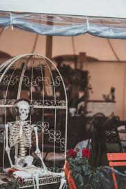We did not find results for: Skeletons Pictures Download Free Images On Unsplash