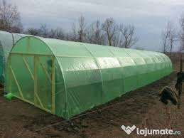 Pin On Legumes Vegetable Plantes