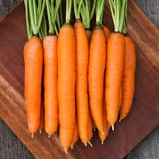 She chopped some carrots for the soup. Organic Non Gmo Dolciva Carrot
