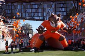 Check spelling or type a new query. Zorro Gigante 1 2 Primerabchile Cl El Portal Del Futbol De Ascenso De Chile