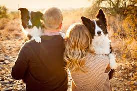 Melissayoungphotography Com Oh Happy Day Photos With Dogs Dog Photoshoot Photos With Dog
