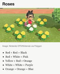 Acnh Flower Hybrid Guide In 2020 New Animal Crossing Animal Crossing Characters Animal Crossing Game