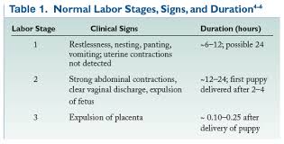 Meaning of ferguson reflex medical term. Canine Dystocia Medical And Surgical Management Vetfolio