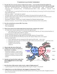Image result for Cardiovascular Worksheets