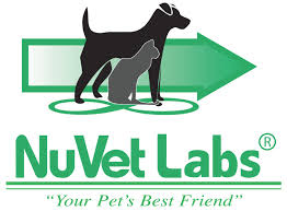 They are up to date on shots, very friendly with kids and other pets come with paperwork California Pitbull Puppies For Sale Xl Pitbulls Xxl American Bully