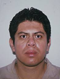 Team:IPN-UNAM-Mexico/Team