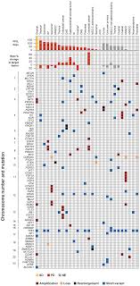 To track the user's preferences within the application profile images: A Mutation Specific Single Arm Phase 2 Study Of Dovitinib In Patients With Advanced Malignancies Oncotarget