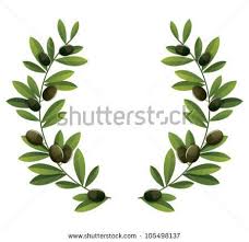 B Olive B B Branch B Vector Stock Photos Branch Drawing Tree Drawing Olive Tree