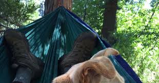 Maybe you would like to learn more about one of these? Dogwood Campground San Bernardino Ca 5 Hipcamper Reviews And 24 Photos