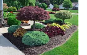 Kidney Shaped Front Yard Island Front Yard Landscaping Design Outdoor Landscaping Front Yard Landscaping