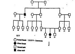 The Following Figure Is A Pedigree Chart Showing Incidences