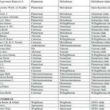 Image result for Callichilia orientalis