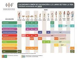 El jueves 28 de enero, llegó a chile el primer cargamento. La Vacunacion En Tiempos De Covid 19 Adolescenciasema
